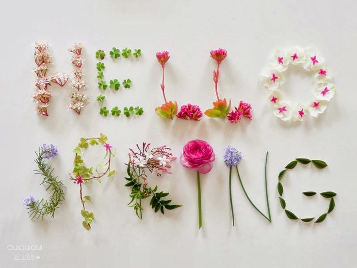 hello spring image
