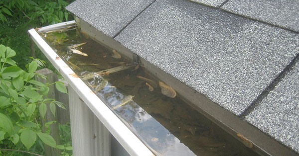 water in gutters