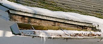 clogged gutters